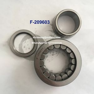Quality F-209603 Hydraulic Pump Bearing Full Cylindrical Roller Bearings for sale
