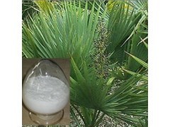 Buy Herb medecine Saw Palmetto Extract Fatty acid 45% at wholesale prices