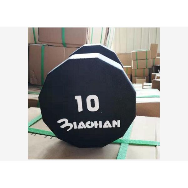 Buy 10LBS Gym Fitness Dumbbell PU Round Hex Head Dumbbells For Home Exercise at wholesale prices