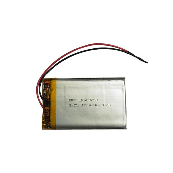 1A Max Charging Current Lithium Ion Polymer Battery 2 Hours Charging Time for
