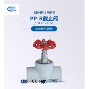 Quality Ppr Angle Valve for sale