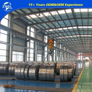 Customized Dx51d G550 Z275 Hot Dipped Galvanized Prepainted Stainless Carbon