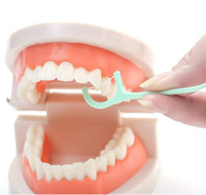 Nylon Thread Dental Floss Toothpick Teeth Cleaning Disposable Dental Floss