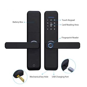 DC6V Tuya Smart Door Lock Customized Logo Keyless Smart Lock