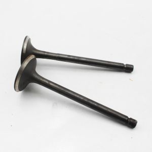 V2403 Inlet Exhaust Diesel Engine Valve 17111-13120 17111-13110 Fit Kubota