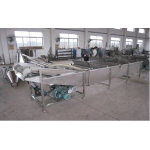 Quality 500Kg / H Fruits And Vegetable Processing With Chile Washer Machine For Spinach, Celery for sale