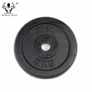 Cast Iron Black Painting Standard Weight Plate / Weight Disc