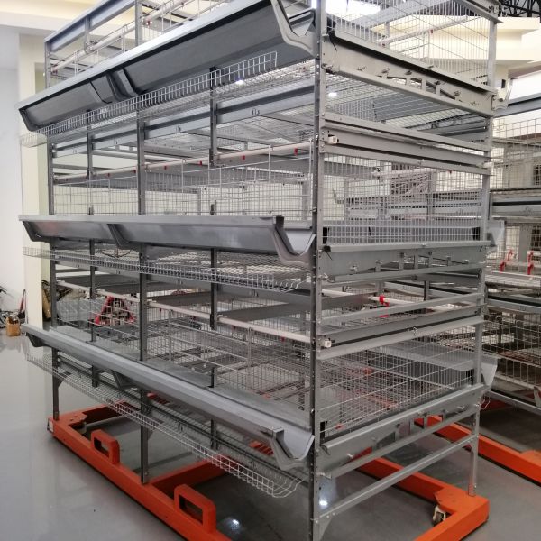 Buy Durable Automatic Duck Cage Factory Commercial Duck Cage For Eggs at wholesale prices