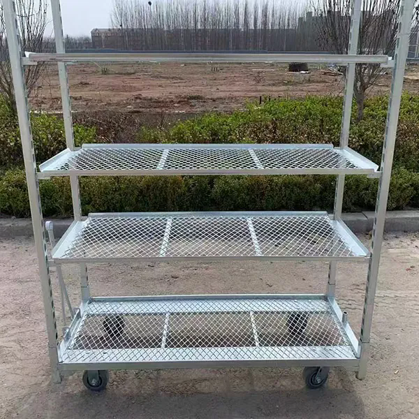PP Wheel Dutch Flower Trolley Rust Resistant Offering 25cm Shelf Height Suitable