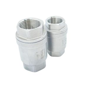 Vertical CF8M Stainless Steel 304 316 Spring Check Valve with NPT/BSPP/BSPT