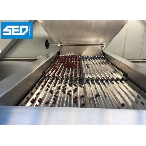 Electronic Soft Gelatin Capsule Counting Machine With Siemens Touch Screen