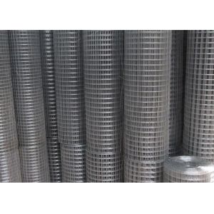 Low Carbon Steel Wire Galvanized Welded Mesh Wire Animal Fence Or Netting Rolls
