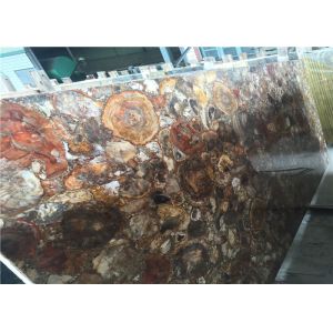 Quality Petrified Wood Semi Precious Stone Slabs Smooth Surface Customized Cut for sale