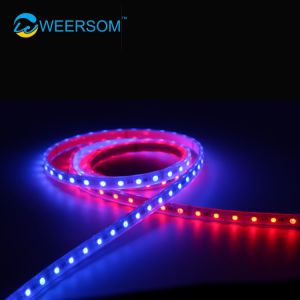 Quality Customize Digital LED Strip 5000mm Length DC5V DC12V DC24V IP68 for sale