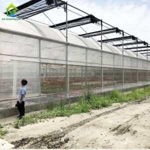Hot Galvanized Steel Plastic Film Greenhouse For Agricultural