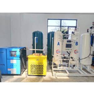 1 Booster Gas Production Plant PSA Oxygen Generator Medical Oxygen Generator