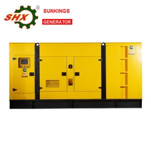 10-300W Diesel Generator For Papua New Guinea Distributor