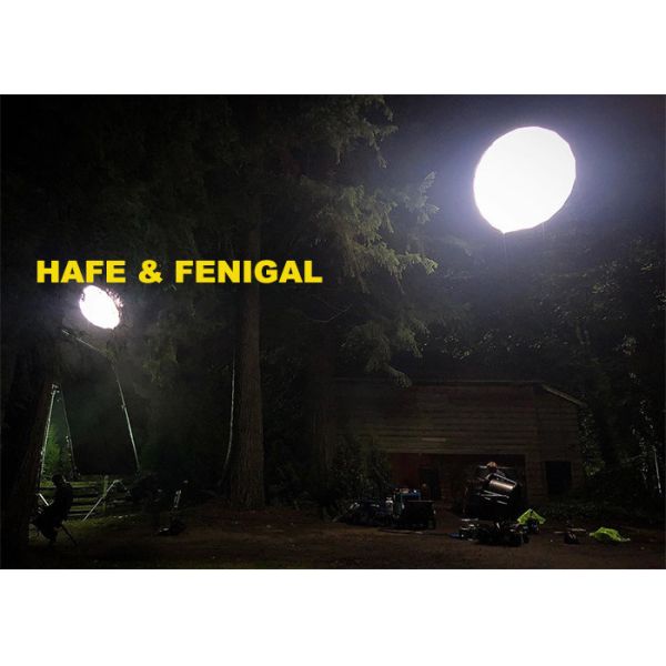 Buy 3m 9.8ft Diameter Artemis Film Lighting Balloon Sphere at wholesale prices