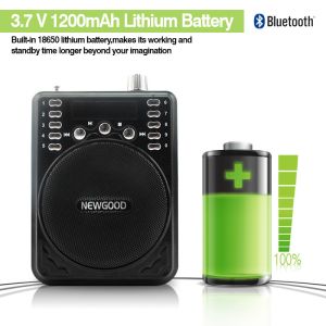 NEWGOOD Bluetooth Voice Amplifier Speaker with Wireless Headset Microphone FM
