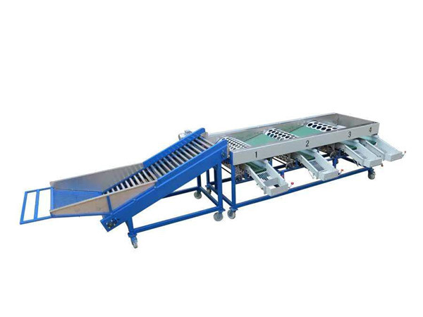 garlic grading machine,garlic sorter,onion garding machine,onion sorter,garlic