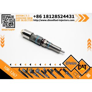 Golden Vidar Fuel Common Rail Injector 10R-1267 456-3509 20R-5075 for Caterpilla