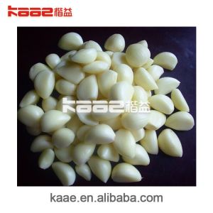Fully Automatic Garlic Processing Line With Food Grade Material