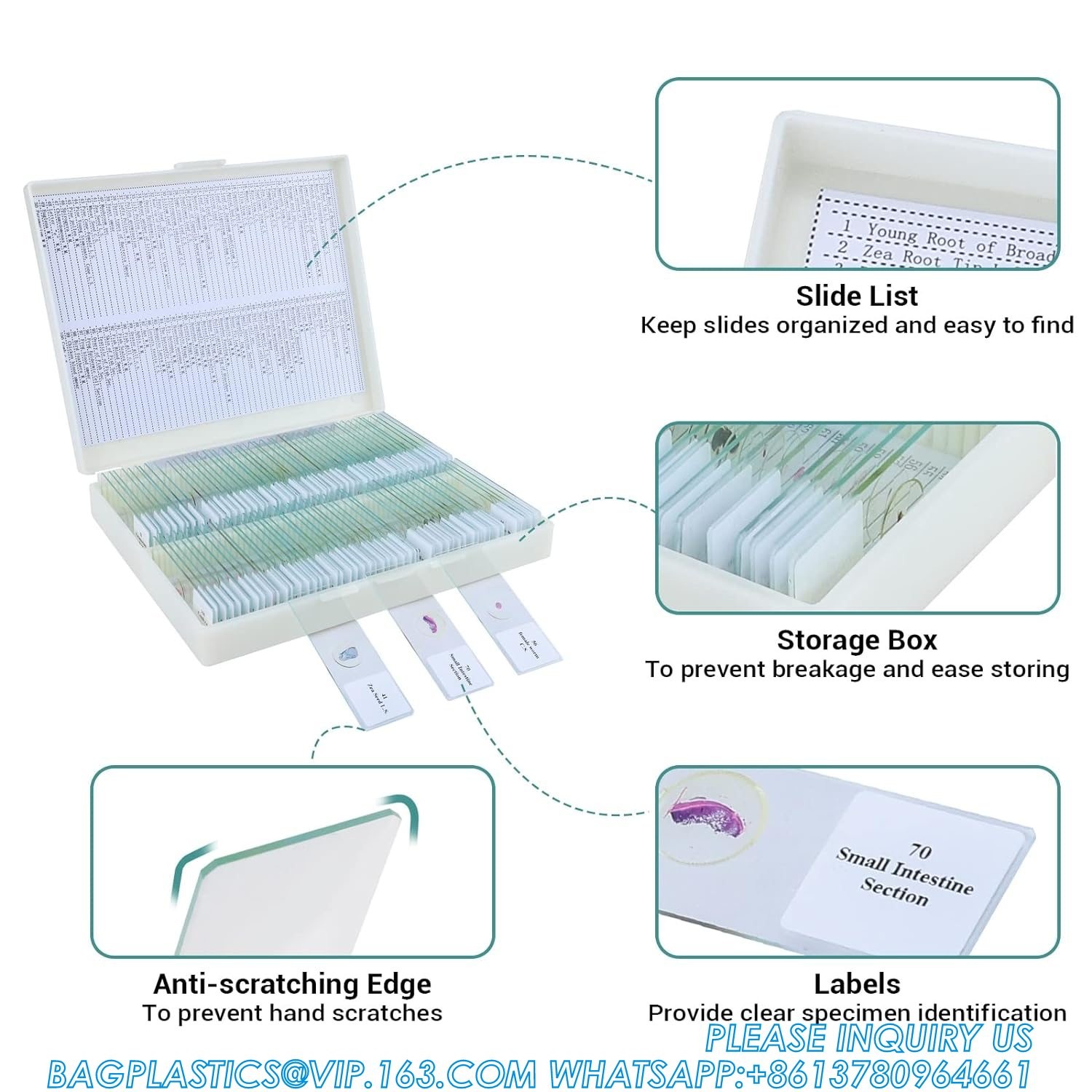 Microscope Slides With Specimens For Kids, Prepared Microscope Slides Plants