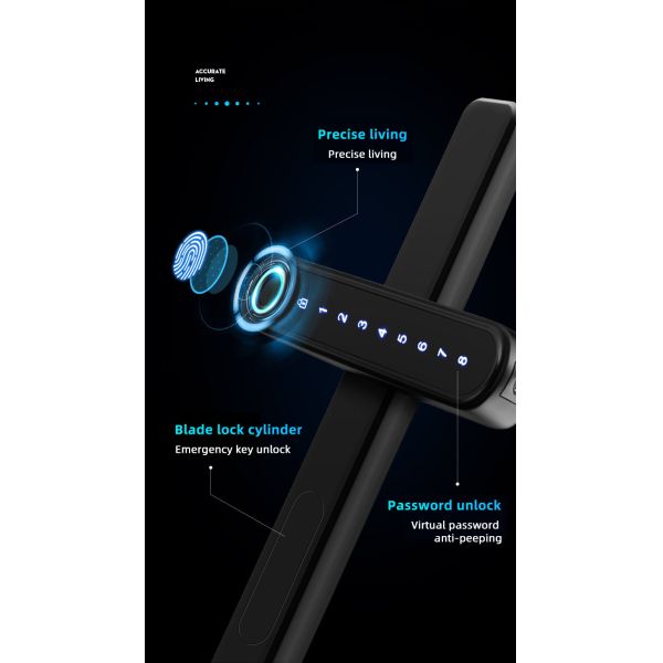 Digital Ttlock Digital Door Lock Black Password Card With IC Card