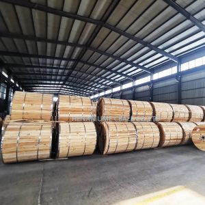 BS 4087 ASTM B228 Copper Clad Steel Strand Wire for Overhead and Ground