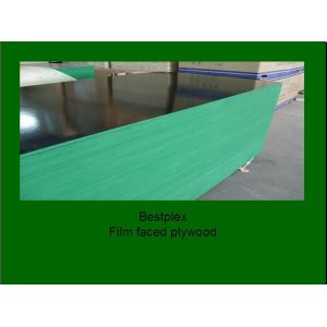 Quality WBP plywood for sale