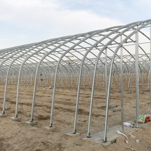 Stable Structure Agricultural and Commercial Tunnel Greenhouse