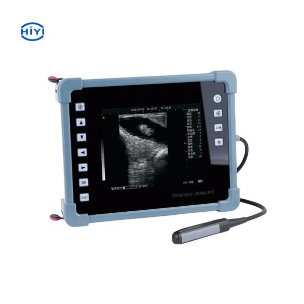 HiYi Veterinary Ultrasound CHY8 Professional Digital B-Ultrasound Diagnostic
