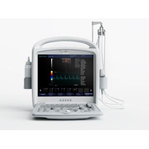 12.1-inch LED Monitor Portable Ultrasound Scanner Color Doppler Machine With 2