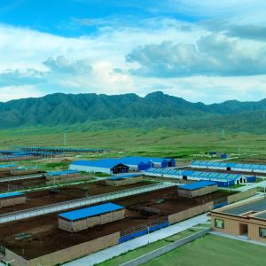 Prefab Steel Structure Warehouse Building Customizable Fast Installation