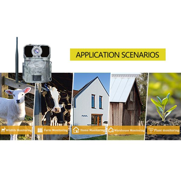 20MP Night Vision Hunting Cameras SMTP MMS SMS IP67 Wildlife Trail Hunting Camera