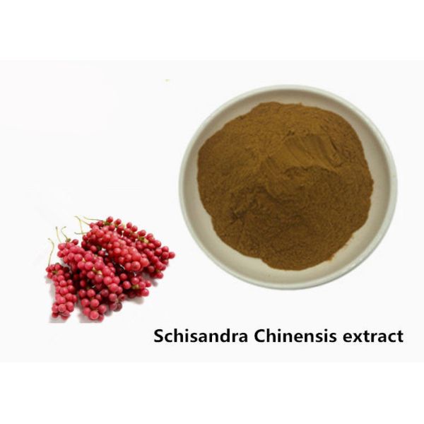 Buy Hepatoprotective 5.2% Schisandra Chinensis Plant Extract Powder at wholesale prices