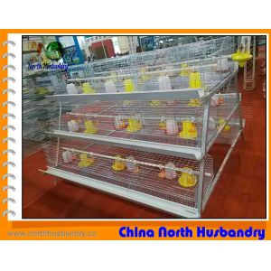 Poultry Cage Manufacturers in India, Poultry Cage Suppliers, Indian