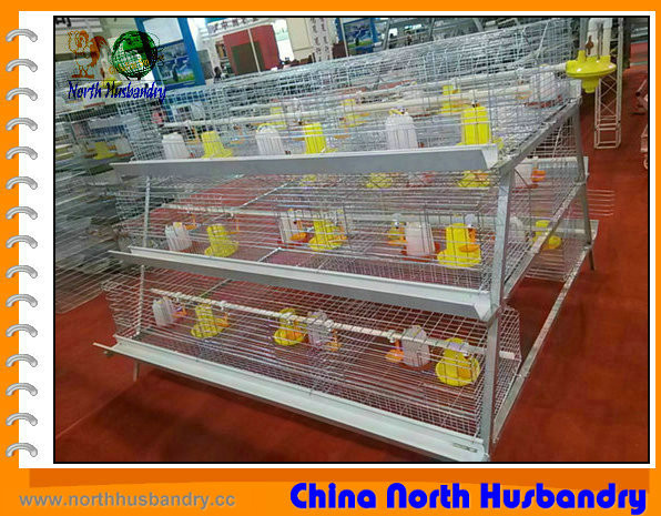 Buy Poultry Cage Manufacturers in India, Poultry Cage Suppliers, Indian at wholesale prices