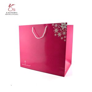 Recyclable Luxury Printed Paper Gift Bags Matt Lamination Aqueous Coating