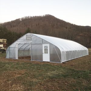 Horticultural Flower Growing Single-Span Film Tunnel Greenhouse Polyethylene