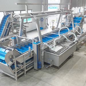 Spinach quick freezing line Fruit and vegetable quick freezing processing