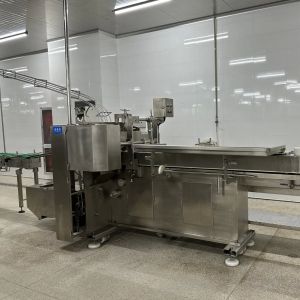 Customized Canned Beef Production Line with 80-400 Cans/Minute Output and 500
