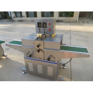 300kg Meat Processing Machine Flat Glossy Meat Slicing Machine