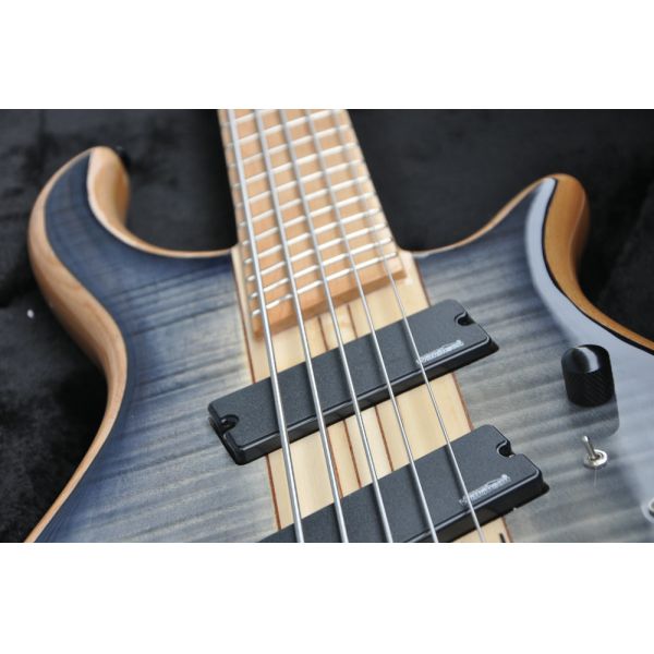 5 string custom bass guitar fanned frets electric bass guitar neck through body