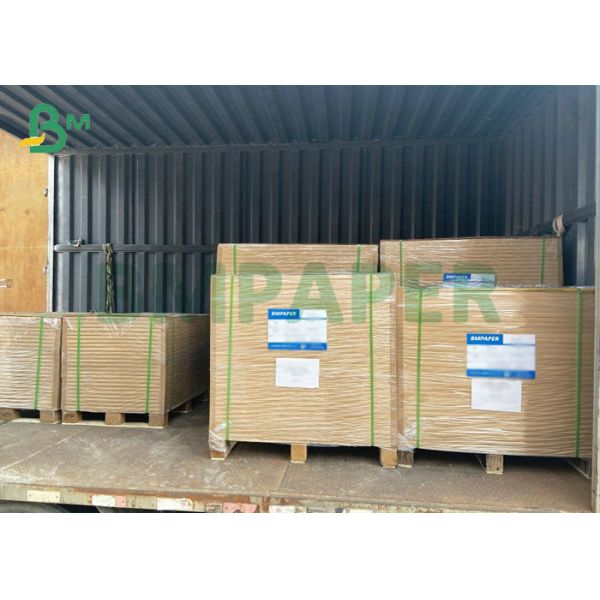 White Top Brown Back Cardboard 300gsm 350gsm For Frozen Food Box