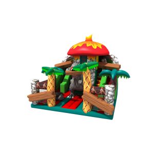 Giant Tarpaulin Inflatable Bounce Water Slide Combo