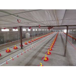 Automatic Stainless And Polypropylene 360mm Broilers Feeding System