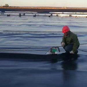 0.1mm-2.5mm Thickness Waterproof Geomembrane for Fish Farm Pond in Mine Industry