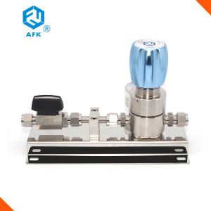 Stainless Steel Argon Gas Panel Pressure Regulator Valve