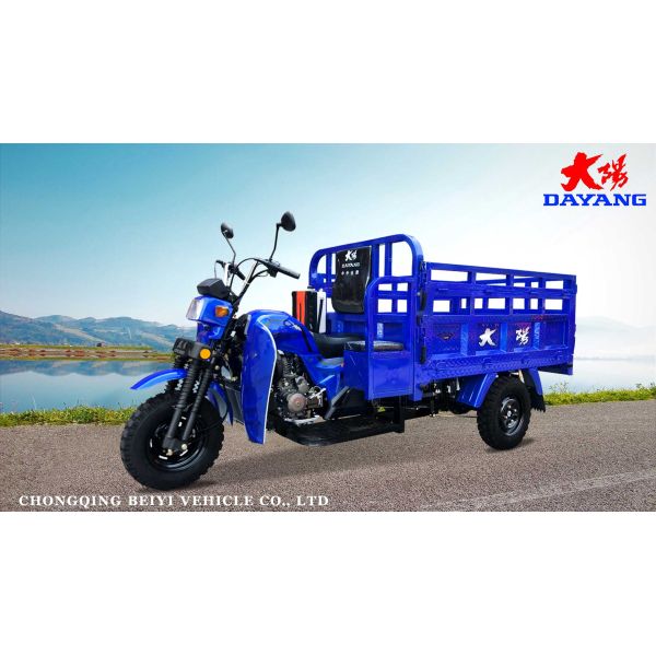 12V Voltage 175cc Heavy Loading Motorized Cargo Tricycles for Cargo Transportation